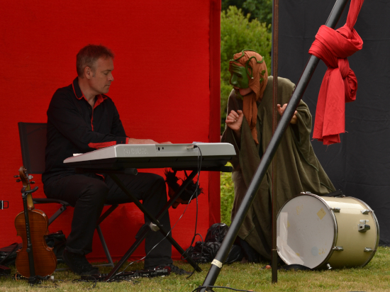 vignette pour site vieille amanita avec musicien